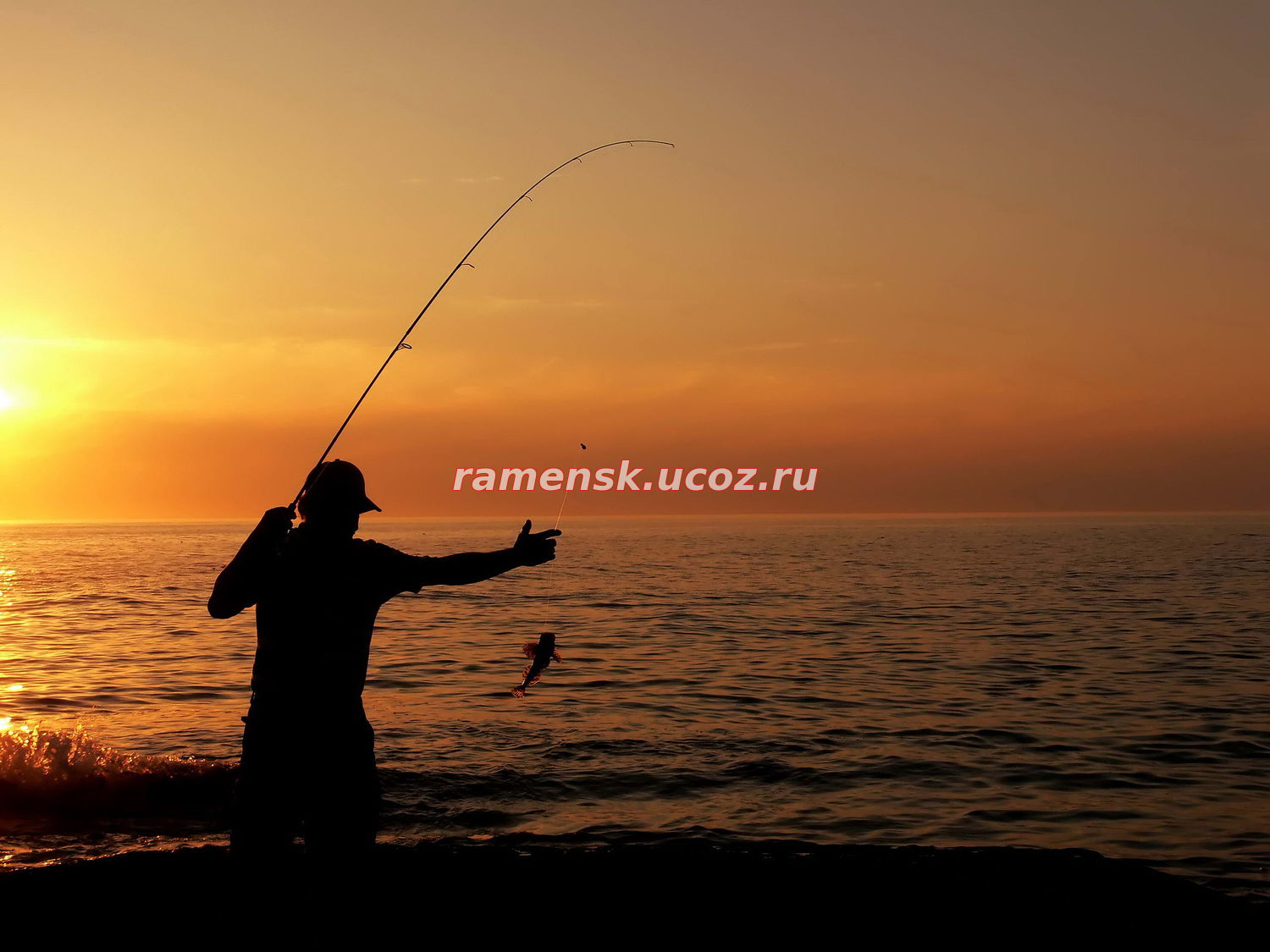 Каковы сроки весеннего нерестового запрета 2017 на рыбалку в Московской области, где можно и нельзя ловить