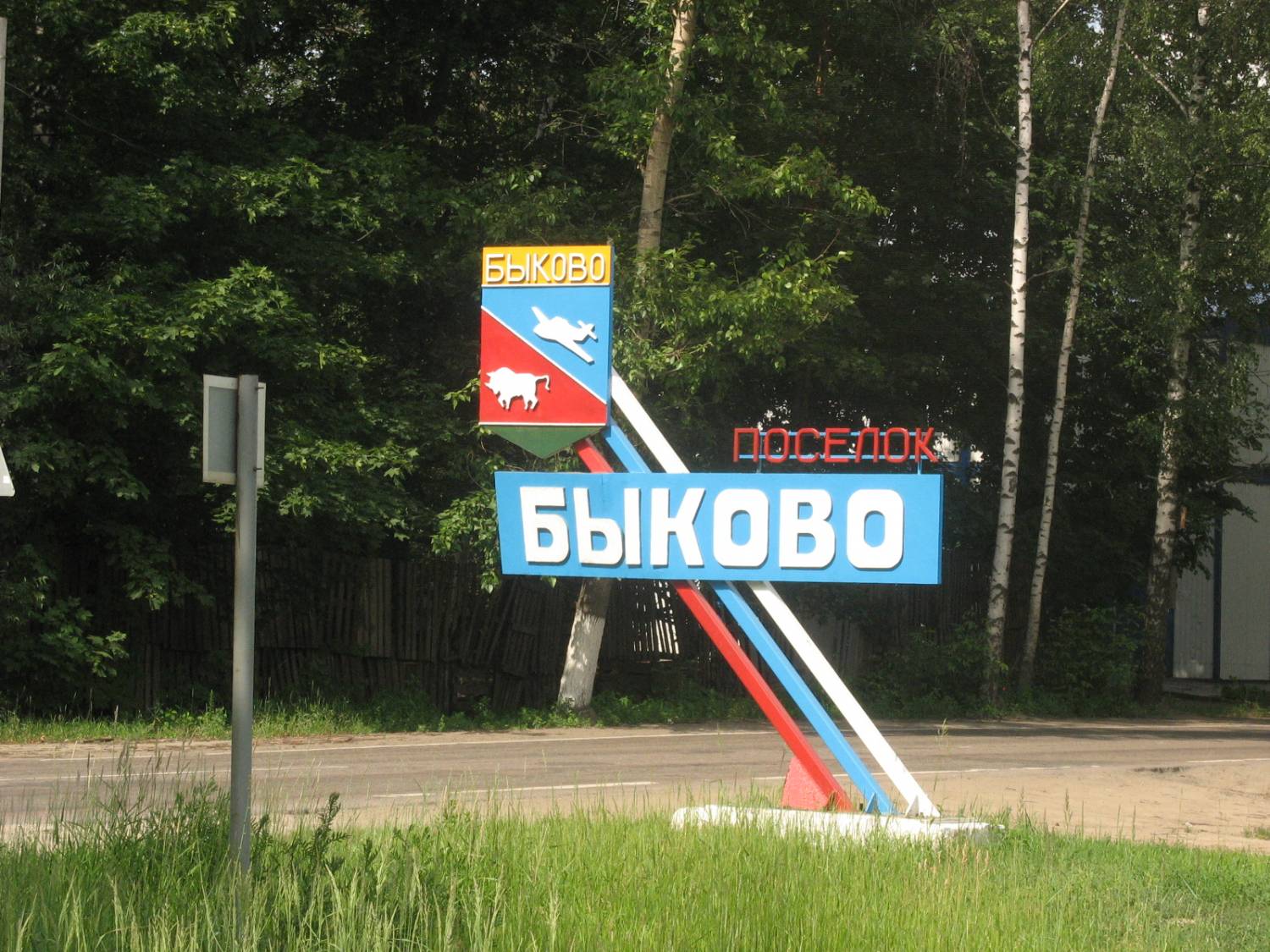 Мэр городского поселения Быково Раменского района отправился в отставку